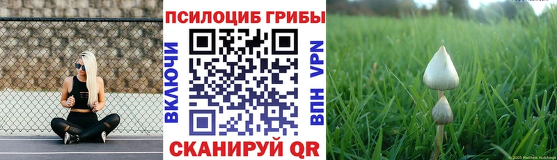 Галлюциногенные грибы Psilocybe  Нариманов 
